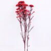 Dried Flowers 13*64CM 50g/pc,H:60-70cm/pc GS-56620018-R1