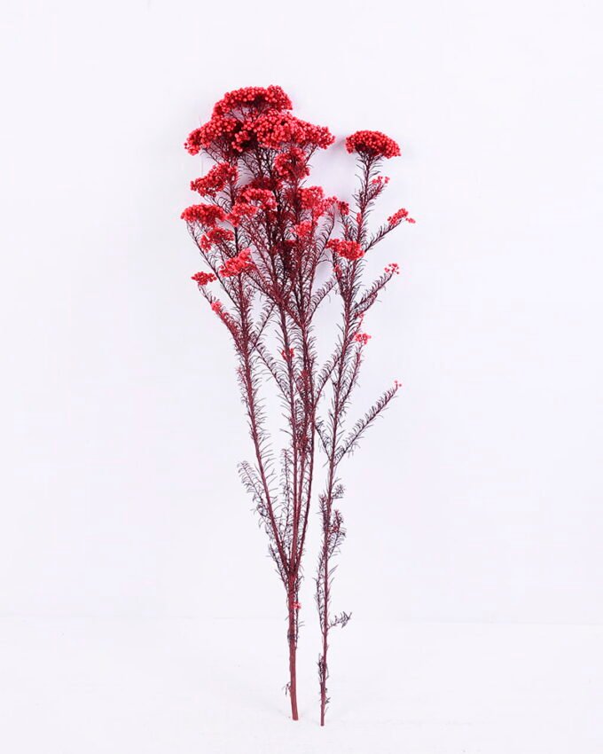 Dried Flowers 13*64CM 50g/pc,H:60-70cm/pc GS-56620018-R1