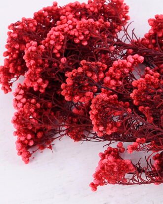 Dried Flowers 13*64CM 50g/pc,H:60-70cm/pc GS-56620018-R1