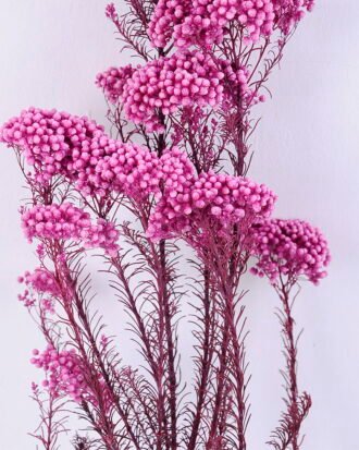 Dried Flowers 13*64CM 50g/pc,H:60-70cm/pc GS-56620018-Z1