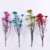 Dried Flowers 13*64CM 50g/pc,H:60-70cm/pc GS-56620018