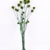 Dried Flowers 14*66CM 60g/bag,H:55-65cm/pc GS-56620027-G1