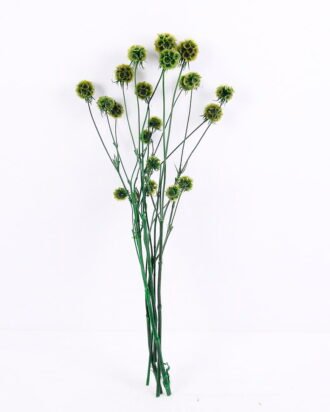 Dried Flowers 14*66CM 60g/bag,H:55-65cm/pc GS-56620027-G1