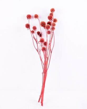 Dried Flowers 14*66CM 60g/bag,H:55-65cm/pc GS-56620027-R1