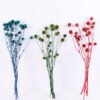 Dried Flowers 14*66CM 60g/bag,H:55-65cm/pc GS-56620027