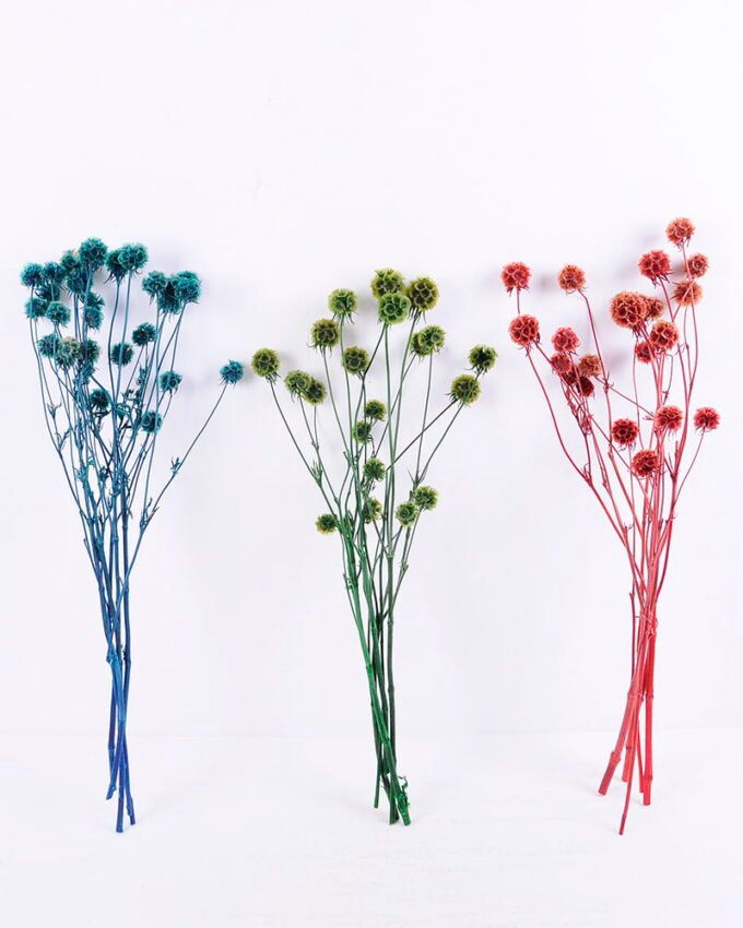 Dried Flowers 14*66CM 60g/bag,H:55-65cm/pc GS-56620027