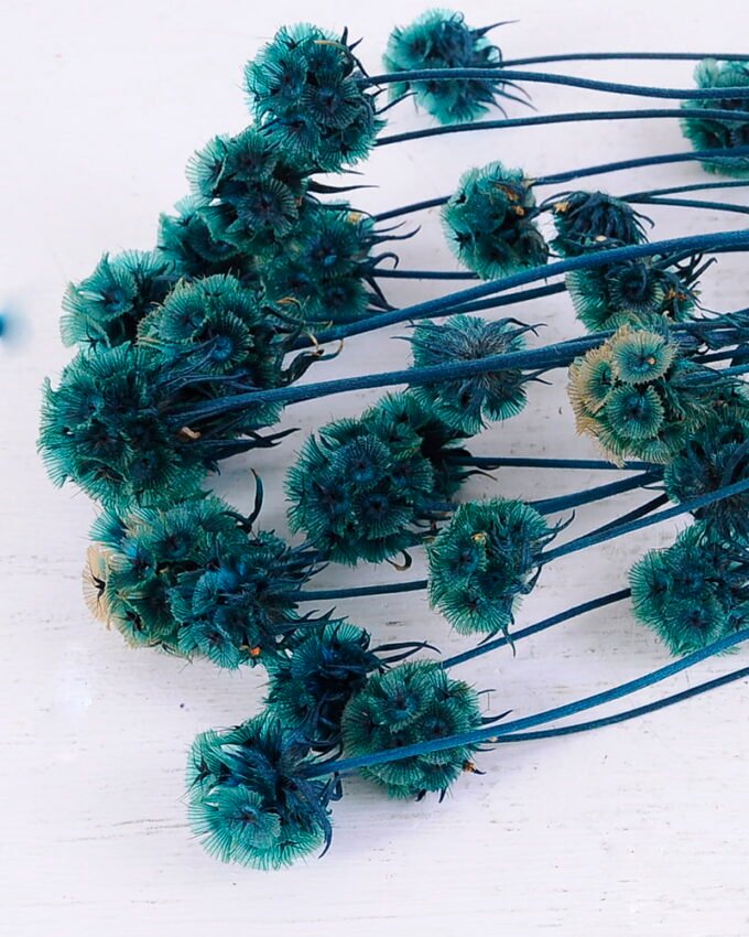 Dried Flowers 14*66CM 60g/bag,H:55-65cm/pc GS-56620027