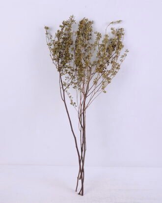 Dried Flowers 18*77CM Acanthospermum, 120g/bag, H:65-75cm/pc GS-56620025