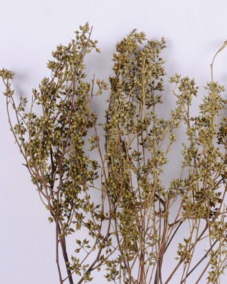 Dried Flowers 18*77CM Acanthospermum, 120g/bag, H:65-75cm/pc GS-56620025