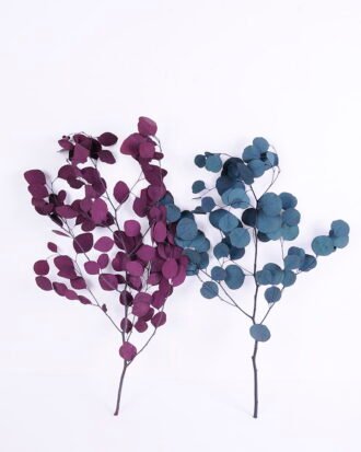 Dried Flowers 20*68cm Apple Leaves GS-56620031