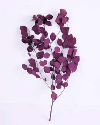 Dried Flowers 20*68cm Apple Leaves GS-56620031