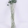 Dried Flowers 9*47CM Berry, 16pcs/bag, H:40-60cm/pc GS-56620028-G1