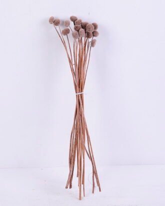 Dried Flowers 9*47CM Berry, 16pcs/bag, H:40-60cm/pc GS-56620028-K1