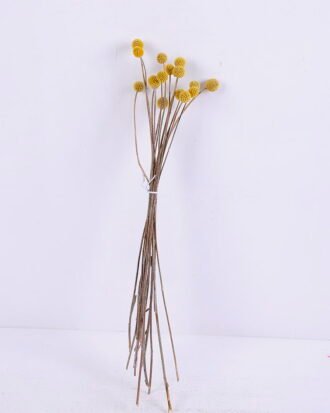 Dried Flowers 9*47CM Berry, 16pcs/bag, H:40-60cm/pc GS-56620028-Y2