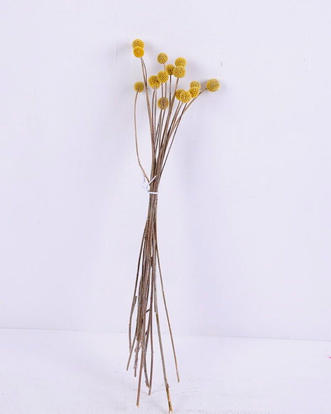 Dried Flowers 9*47CM Berry, 16pcs/bag, H:40-60cm/pc GS-56620028-Y2