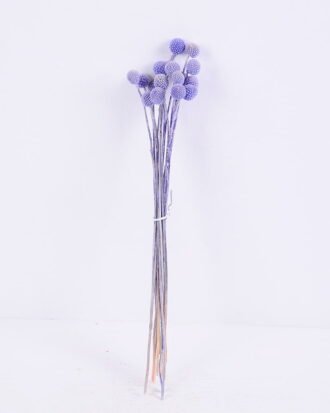 Dried Flowers 9*47CM Berry, 16pcs/bag, H:40-60cm/pc GS-56620028-Z1