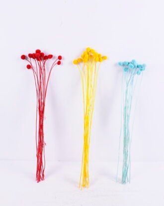 Dried Flowers 9*47CM Berry, 16pcs/bag, H:40-60cm/pc GS-56620028