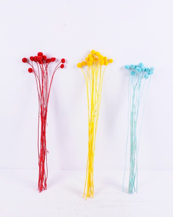 Dried Flowers 9*47CM Berry, 16pcs/bag, H:40-60cm/pc GS-56620028