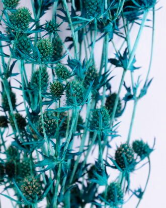 Dried Flowers 14*68CM Berry, 50g/bag, H:60-70cm/pc GS-56620024-B1