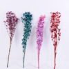 Dried Flowers 14*68CM Berry, 50g/bag, H:60-70cm/pc GS-56620024-B1