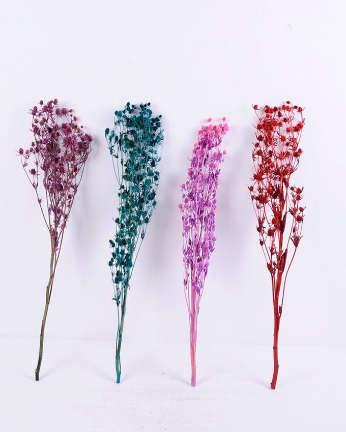 Dried Flowers 14*68CM Berry, 50g/bag, H:60-70cm/pc GS-56620024-B1