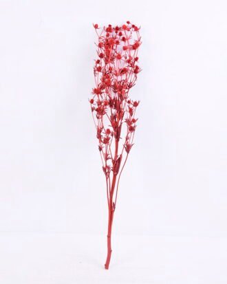 Dried Flowers 14*68CM Berry, 50g/bag, H:60-70cm/pc GS-56620024-R1