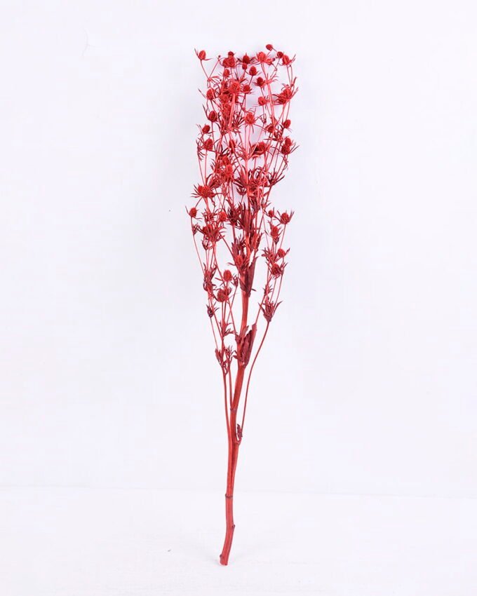 Dried Flowers 14*68CM Berry, 50g/bag, H:60-70cm/pc GS-56620024-R1