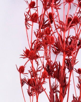 Dried Flowers 14*68CM Berry, 50g/bag, H:60-70cm/pc GS-56620024-R1