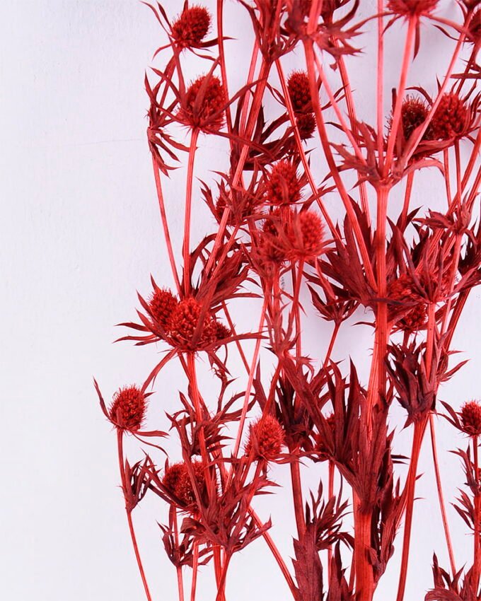 Dried Flowers 14*68CM Berry, 50g/bag, H:60-70cm/pc GS-56620024-R1