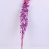 Dried Flowers 14*68CM Berry, 50g/bag, H:60-70cm/pc GS-56620024-Z1
