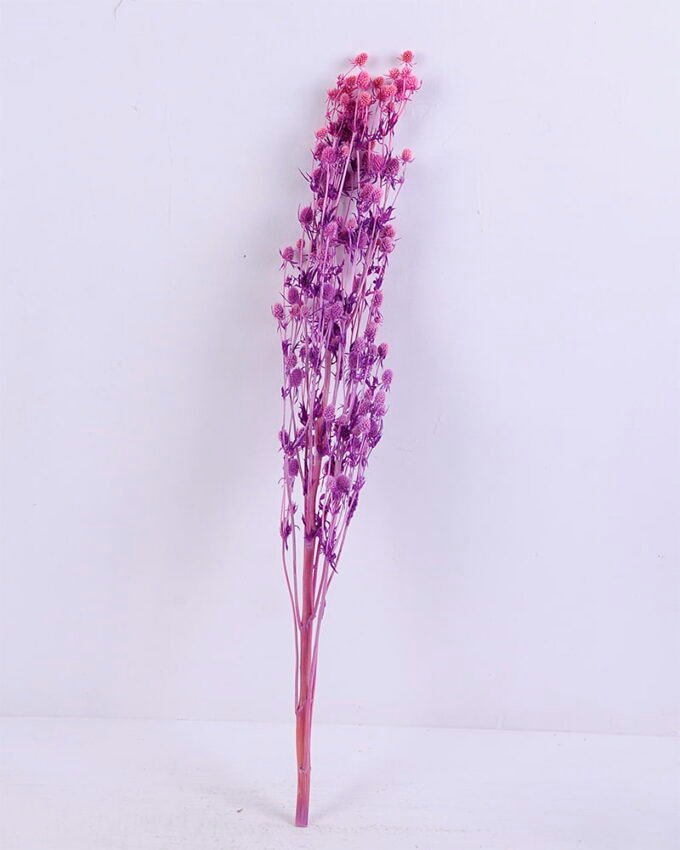 Dried Flowers 14*68CM Berry, 50g/bag, H:60-70cm/pc GS-56620024-Z1