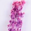 Dried Flowers 14*68CM Berry, 50g/bag, H:60-70cm/pc GS-56620024-Z1