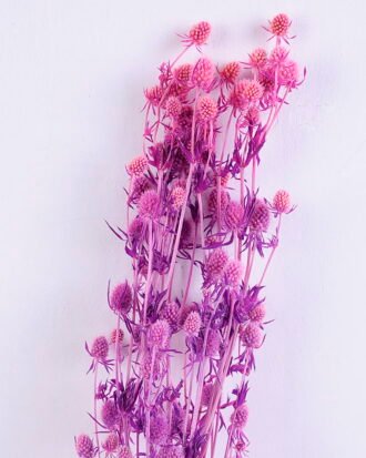 Dried Flowers 14*68CM Berry, 50g/bag, H:60-70cm/pc GS-56620024-Z1