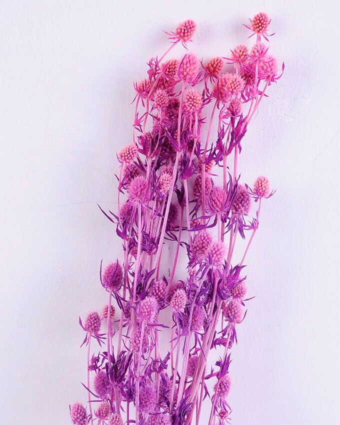 Dried Flowers 14*68CM Berry, 50g/bag, H:60-70cm/pc GS-56620024-Z1
