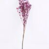 Dried Flowers 14*68CM Berry, 50g/bag, H:60-70cm/pc GS-56620024-Z2