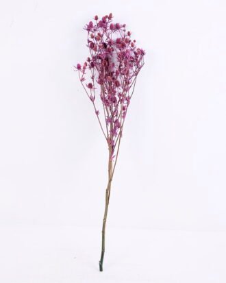 Dried Flowers 14*68CM Berry, 50g/bag, H:60-70cm/pc GS-56620024-Z2