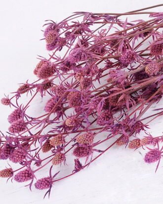 Dried Flowers 14*68CM Berry, 50g/bag, H:60-70cm/pc GS-56620024-Z2