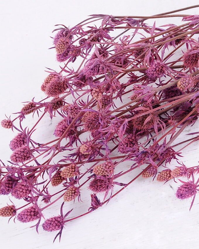 Dried Flowers 14*68CM Berry, 50g/bag, H:60-70cm/pc GS-56620024-Z2