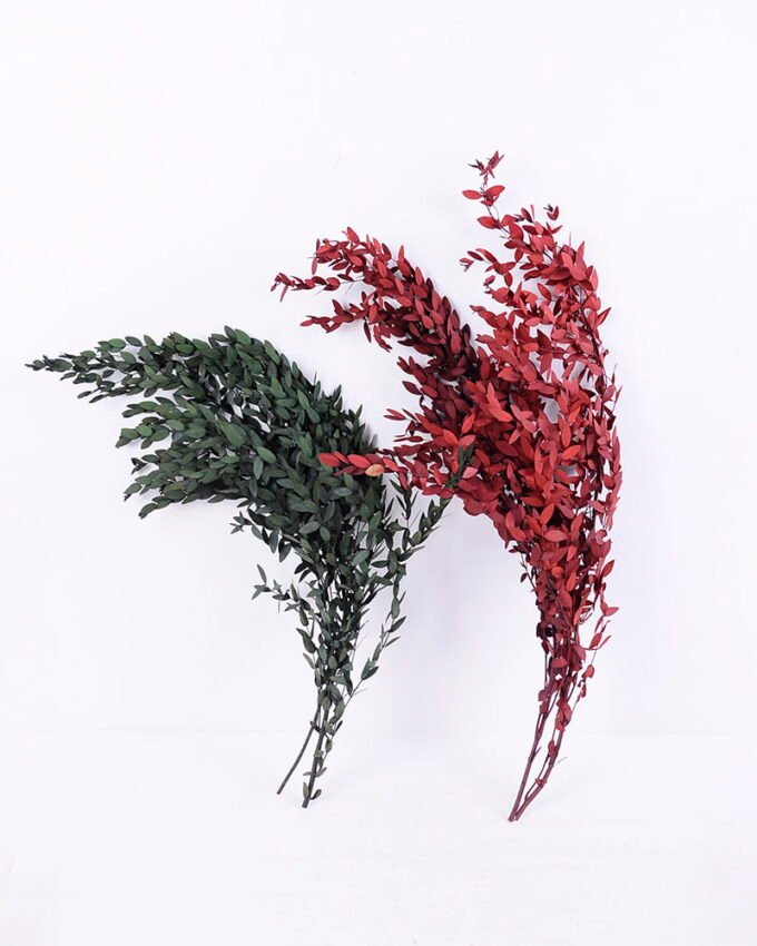 Dried Flowers 16*60CM Eucalyptus, 70g/bag, H:60-70cm/pc GS-56620020