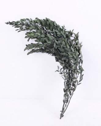 Dried Flowers 16*60CM Eucalyptus, 70g/bag, H:60-70cm/pc GS-56620020