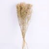 Dried Flowers 18*66cm  Gypsophila Bouquet GS-56620033