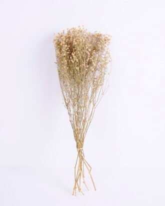 Dried Flowers 18*66cm  Gypsophila Bouquet GS-56620033