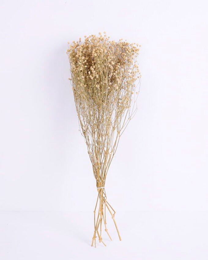 Dried Flowers 18*66cm  Gypsophila Bouquet GS-56620033