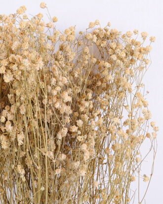 Dried Flowers 18*66cm  Gypsophila Bouquet GS-56620033