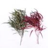 Dried Flowers 20*66CM Leaves, 80g/bag, H:60-70cm/pc GS-56620026
