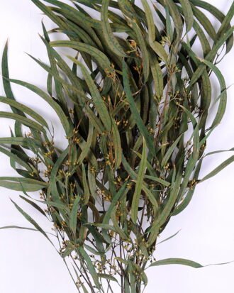 Dried Flowers 20*66CM Leaves, 80g/bag, H:60-70cm/pc GS-56620026