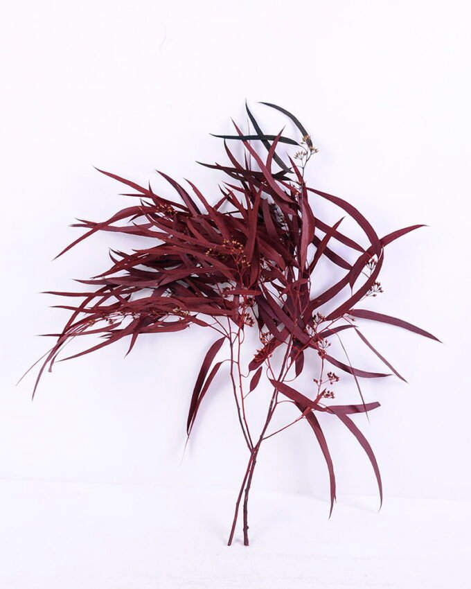 Dried Flowers 20*66CM Leaves, 80g/bag, H:60-70cm/pc GS-56620026