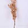 Dried Flowers 17*64CM Leaves spray, 5pcs/bag, H:50-70cm/pc GS-56620022