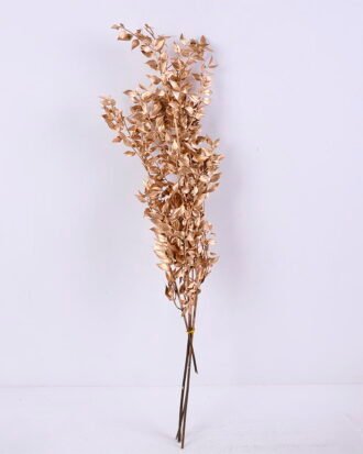 Dried Flowers 17*64CM Leaves spray, 5pcs/bag, H:50-70cm/pc GS-56620022