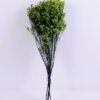 Dried Flowers 21*72CM Love grass, 100g/bag, H:60-70cm/pc GS-56620019-G1